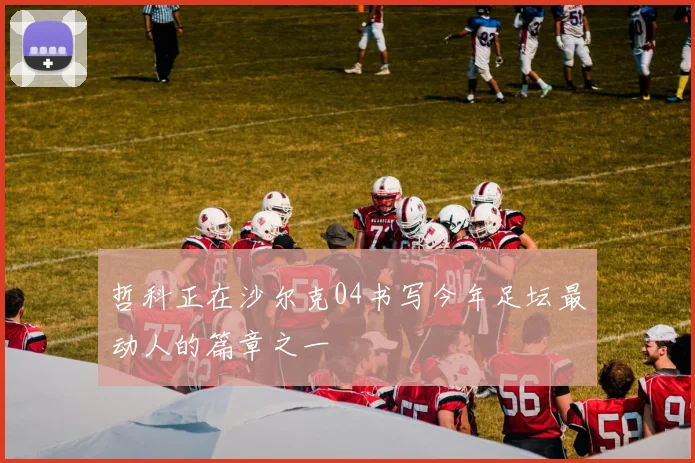 哲科正在沙尔克04书写今年足坛最动人的篇章之一